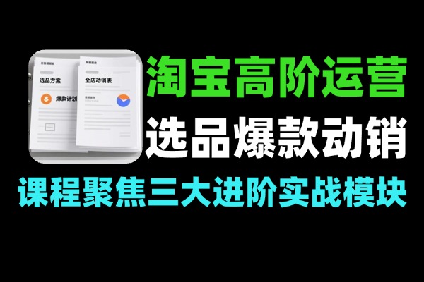 淘宝高阶运营私家课选品爆款全店动销
